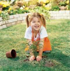 Child playing on the lawn