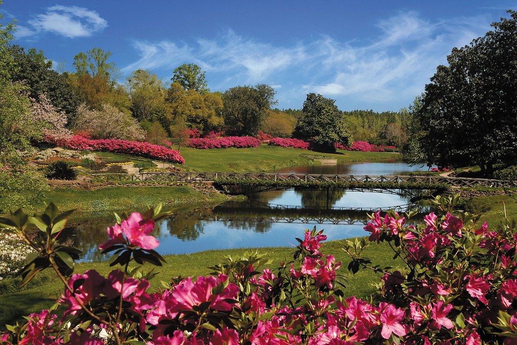 Bellingrath Gardens 