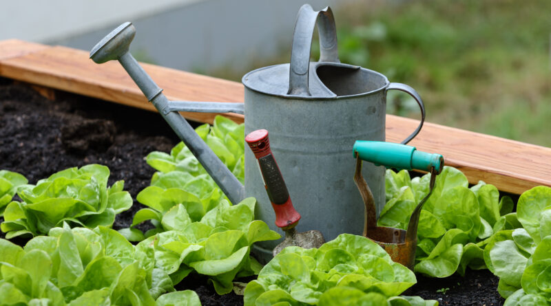 Gardening In Weather Not in Your Favor