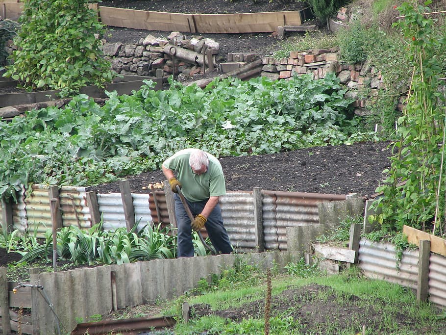 Gardening with Arthritis