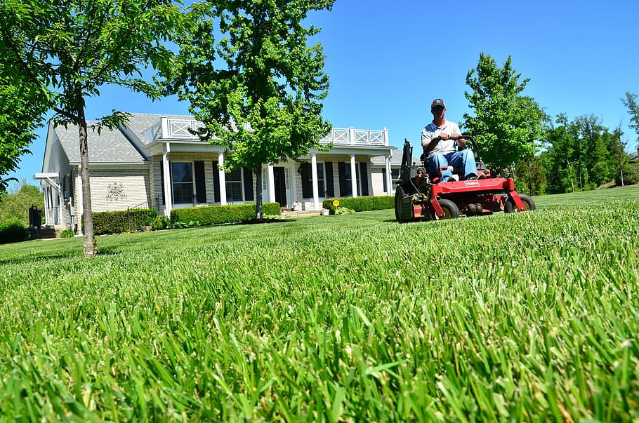 Healthy Lawn Tips