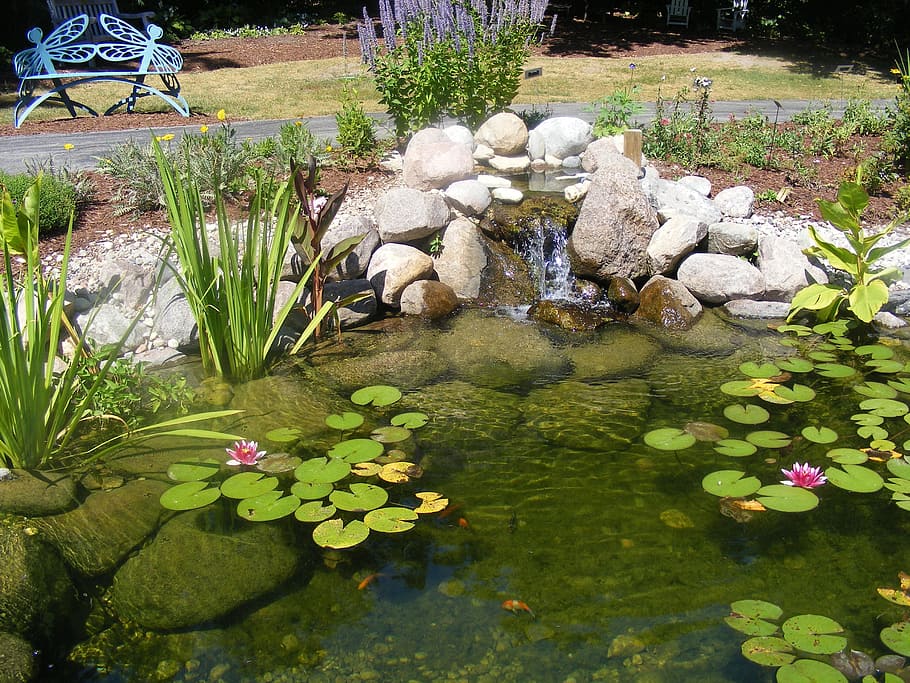 Koi Ponds