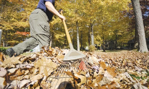 Natural Gardening Without Pesticides