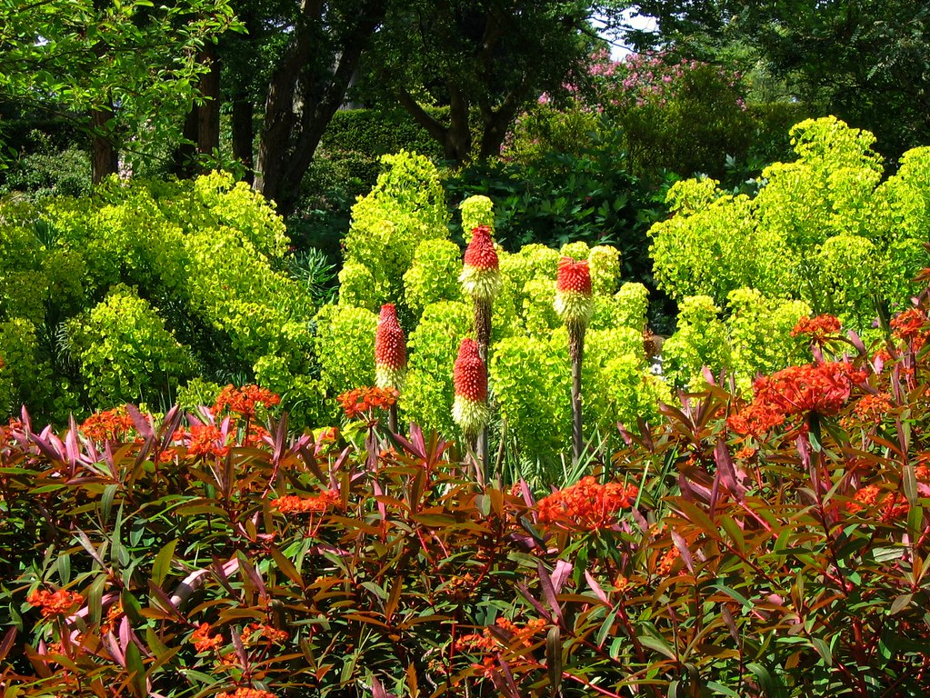 Savill Garden