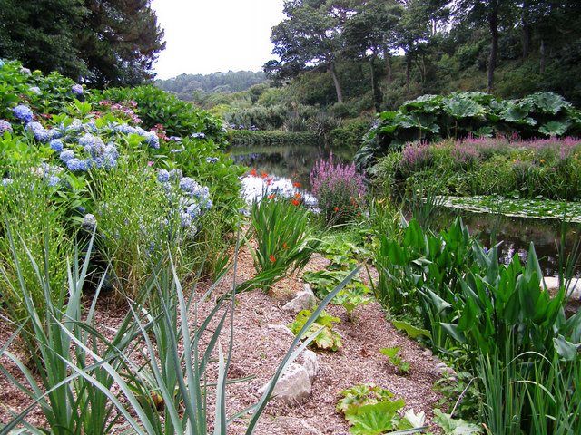 Trebah Garden Cornwall