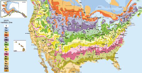 USDA Hardiness Zone Map